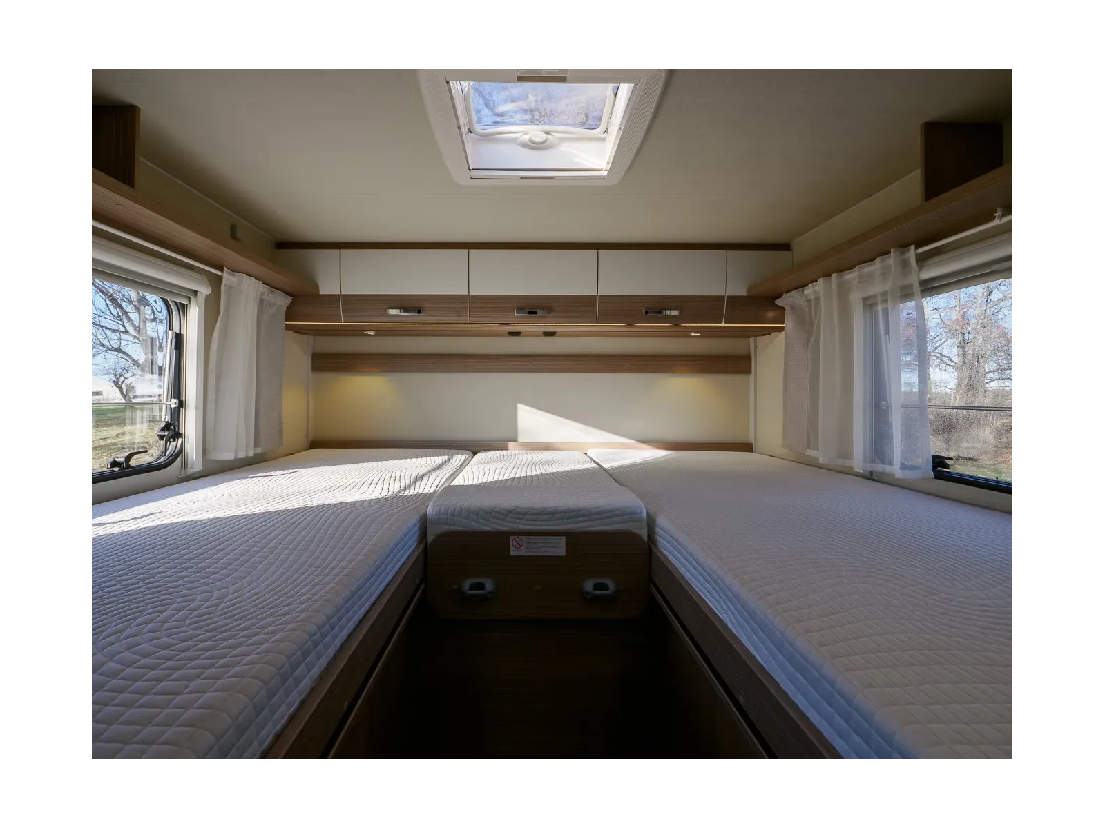 Carado T 447 Émotion